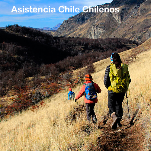 asistencia chile chilenos